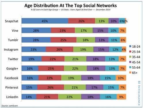Graph showing the demographic composition of the following social networks: Snapchat, Vine, Tumblr, Facebook, Instagram, Twitter, Google+, Facebook, Pinterest, and Linkedin. Source: comScore