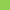 light green cell