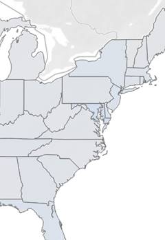 Generic map of Eastern United States