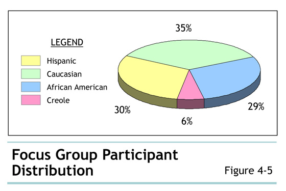 Figure 4-5 Focus Group Participant Distribution