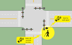 Figure 12 - Double-Tap to Confirm Crossing and Obtain Signal Information. Image is of a crosswalk with a blink pedestrian with a smartphone app that tells them which way they are going.
