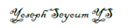 Signature of Yoseph Seyoum
