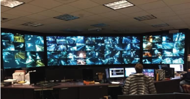 Image of control center with numerous video images of roads displayed on screens with workers at desks watching.