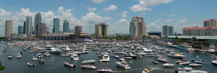 View of Tampa City Skyline