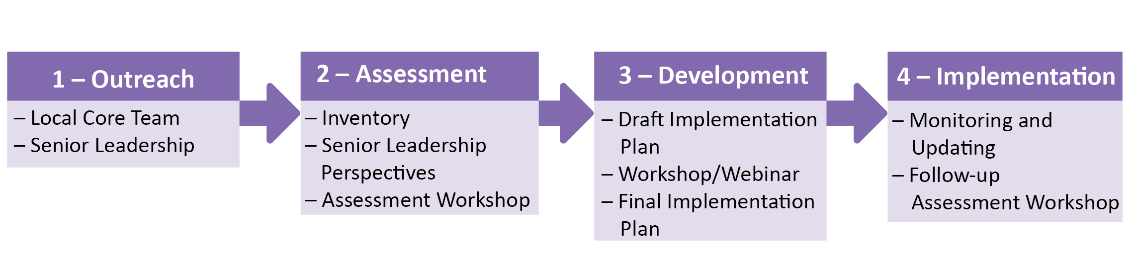 Figure 1. The process and activities associated with this 2-3 year implementation assistance.