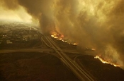 Photograph of wildfire