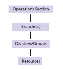 Organizational Elements