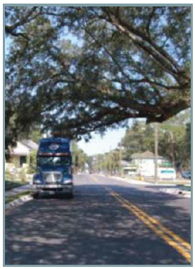 Low-hanging tree limbs on a residential street hanging very near the top of a commercial vehicle.