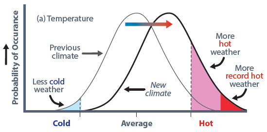 On a left to right scale of cold, average, and hot, a bell curve representing the previous climate shifts to the right, indicating a new climate with increased probability of a shift in temperatures towards more hot weather and more record hot weather combined with the elimination of cold weather.