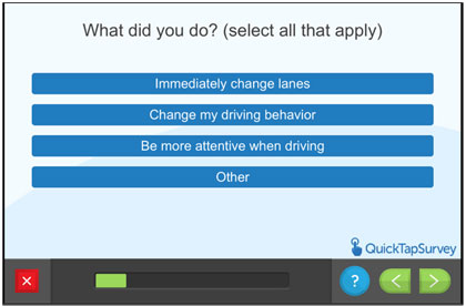 Questionnaire screen - What did you do?