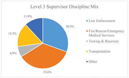 Pie graph of the level 3 supervisor discipline mix.