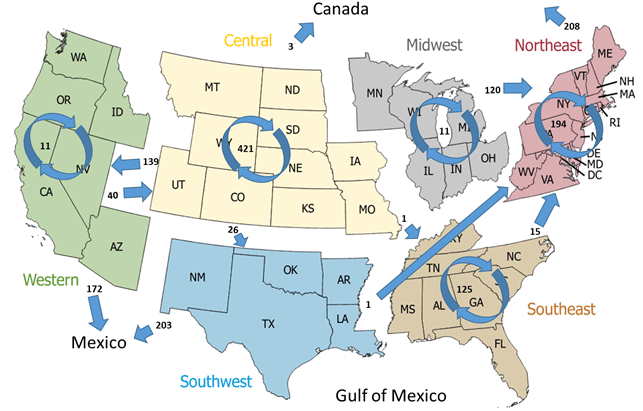 A nationwide map that shows liquefied natural gas movements on a regionwide basis. The country is broken up into six regions, and movements between regions are shown. Most of the movement is within each region.