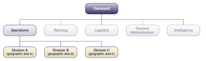 Exhibit 2-6: Use of Geographical Divisions (Example). The basic functional structure is illustrated, and Divisions (Geographic Areas) A, B, and C are shown on a level equal to each other, below Operations.