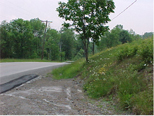 photo of roadway with high grassy bank on the right