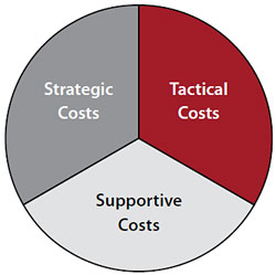 TIM costs shown as a pie chart composed of equal parts of strategic, tactical, and supportive costs.