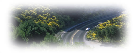 Overhead view of a curving four-lane rural road with trees on both sides.